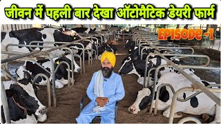 2 लेबर 150 गायों का पूरा काम करते देख हैरान हो गया  Big Hf Cow Automatic Dairy Farm In Punjab [upl. by Ahseyi]