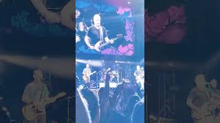 concierto Hombres G [upl. by Zashin]