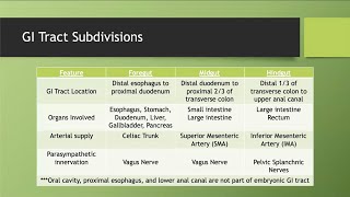 Foregut Midgut and Hindgut [upl. by Remus704]