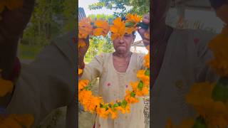 Kukur tihar😂 trendingtopic comedy funny tiharspecial tiharvlog [upl. by Eiuqram]