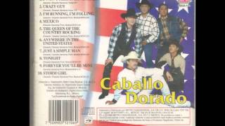 Caballo Dorado en Ingles Im running Im folling [upl. by Andrel]