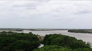 Pantanos de Centla Tabasco México [upl. by Darej]