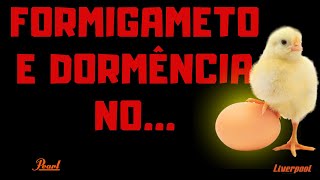 Dor e formigamento nos testículos [upl. by Nivlek284]