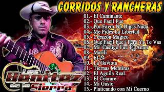 Los Benitez de La Sierra  20 Lo Mejores Exitos Corridos y Rancheras  Mix Para Pistear [upl. by Ayikin]