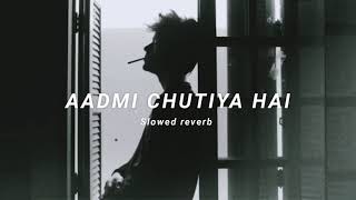 Aadmi Chutiya hai  slowed  reverb  rahgir  Soul Vibez [upl. by Nnaid]