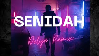 Senidah  Delija Kendrick Amar Remix [upl. by Yuhas421]