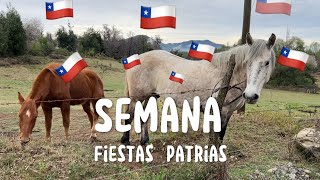 Vlog de nuestras fiestas patrias 🇨🇱🇨🇱🇨🇱 [upl. by Amati]