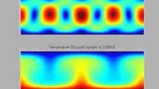 Rayleigh Benard Convection using a LB method on Matlab [upl. by Atiuqihs]