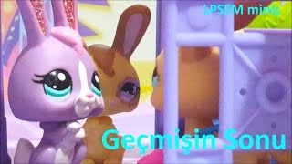 Minişler ADA 4 Geçmişin Sonu FİNAL  LPSEM miniş [upl. by Anomahs852]