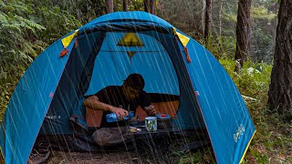 camping in heavy rain and nonstop storms sleeping soundly in a comfortable tent asmr [upl. by Rosena23]