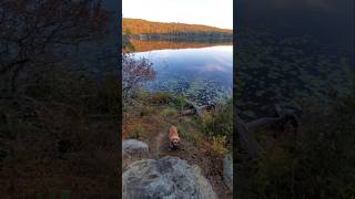 Autum Lakeside at Harriman State Park [upl. by Blakeley]