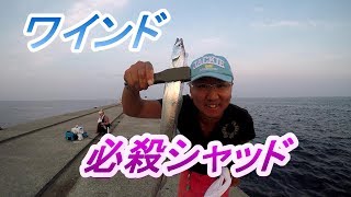 太刀魚入れ食いで楽しすぎた！【ワインド 必殺仕掛け】 [upl. by Barbe]