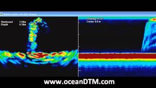 Buoy chain on multibeam sonar [upl. by Horne329]