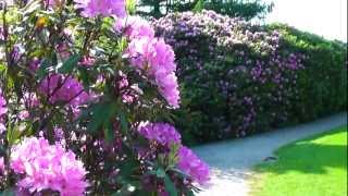 quotVorwerk Parkquot WuppertalBarmen  das RhododendronParadies [upl. by Wilterdink26]