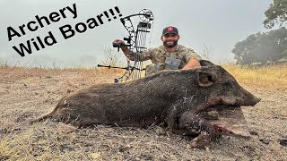 CHAD MENDES ARCHERY WILD BOAR HUNT MAKIN BACON [upl. by Perdita]