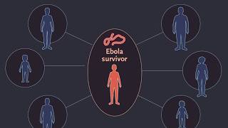 Findings in Survivors of Ebola Virus Disease [upl. by Eniamerej]