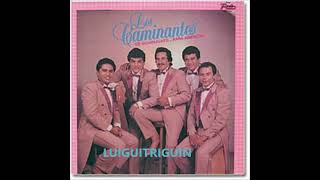 Los Caminantes Mix De Rancheras [upl. by Attolrahc]