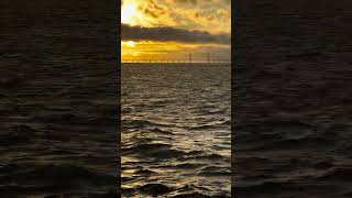 Winter Windsurfer sweden windsurf surf öresund öresundsbron malmö storm waves sunset [upl. by Shaughnessy495]