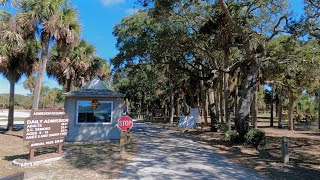 Scenic Drive to Edisto Beach State Park via Rt 174 from 17  South Carolina  Lowcountry [upl. by Noemys]