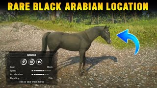 How To Get Rare Black Arabian Horse In Chapter 2 For Free With Location  RDR2 [upl. by Yessydo]