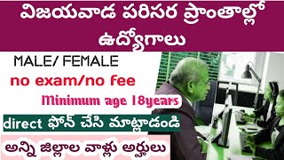 latest Vijayawada jobs in telugu  krishna district jobs today jobs [upl. by Orodisi]