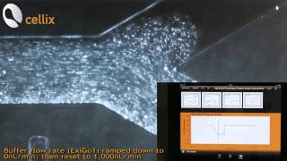 Precise pulsefree flow control with ExiGo Microfluidic Pumps [upl. by Schwerin]