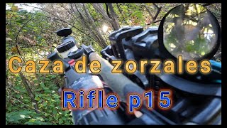 Caza de Zorzales con rifle de aire P15 [upl. by Johnna]