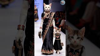 Cat and Kitten Fashion Show😻💫 cat baby shorts trending [upl. by Arahd11]