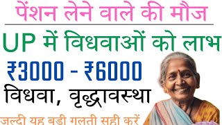 Vidhwa Pension New List  up vidhwa pension list  pension list up  widow pension list  pensions [upl. by Aiykan184]