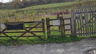 Strathblane Wildlife Sanctuary  Scotland Tours [upl. by Bartolomeo]