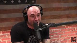 Joe Rogan on Being Sober quotYou Have to Find Out Who You Arequot [upl. by Tedmund]