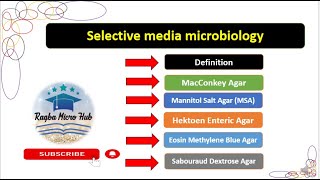 Selective media microbiology culturemedia laboratory microbiology lecture [upl. by Adnana518]