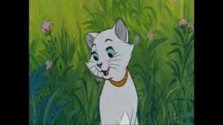 Aristocats  What Makes You Beautiful [upl. by Motteo119]