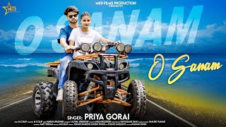 O sanam Official Video Priya Gorai  Khushi  Pratap Harsh Upadhyay  Video Song 2024Mkdilip [upl. by Belamy]