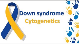 Down Syndrome Cytogenetics [upl. by Mosley]