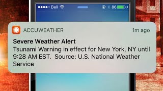 False Tsunami Warning Causes Panic After Hawaii Scare [upl. by Chapel]