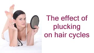 The effect of plucking on hair cycles [upl. by Mccreery158]