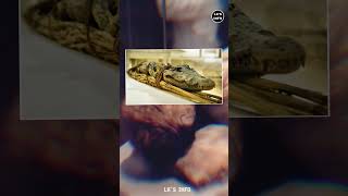 Animal Mummy😱 LKS INFO  shorts [upl. by Jeffers790]