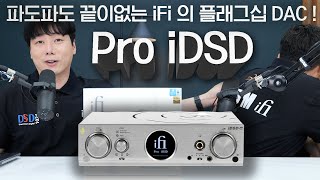 파도파도 끝이없는 iFi 의 플래그십 DAC  Pro iDSD [upl. by Ring990]