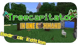 Minecraft How to get Treecapitator  Commands Tutorial [upl. by Aiza]