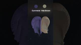 Gunmetal  pale Brown  colormixing colors [upl. by Namrej155]