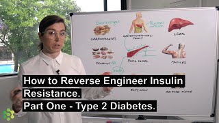 How to Reverse Engineer Insulin Resistance Part One  Type 2 Diabetes [upl. by Moia690]