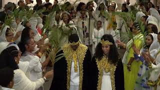 Eritrean Jamaican Wedding 2022 Pt 2 Melse [upl. by Rosene]