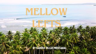 MENTAWAI SURFING MELLOW LEFT FOR BEGINNERS [upl. by Giefer]