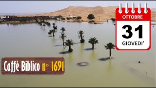 UN LAGO NEL DESERTO [upl. by Hutt]