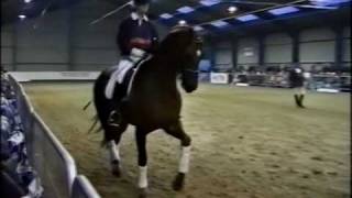 Keystone Dimaggio  An evening with Carl Hester  Part 1 [upl. by Eitsirc]