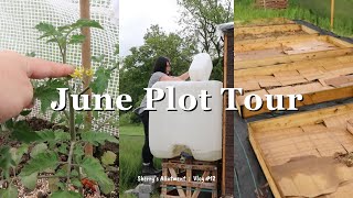 June Allotment Plot Tour amp Making Veggie Beds ⛥ UK Allotment Vlog 12 ⛥ June 2024 ⛥ [upl. by Nerta492]