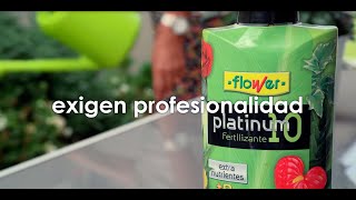 Productos Flower somos fabricantes [upl. by Shig582]