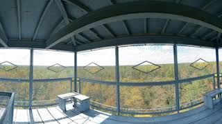 Okefenokee swamp observation Tower in 360 [upl. by Kcirdnekal214]