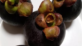 First time nagbalat nang mangosteen Hard to openfruitsgoodforhealth [upl. by Inalaeham]